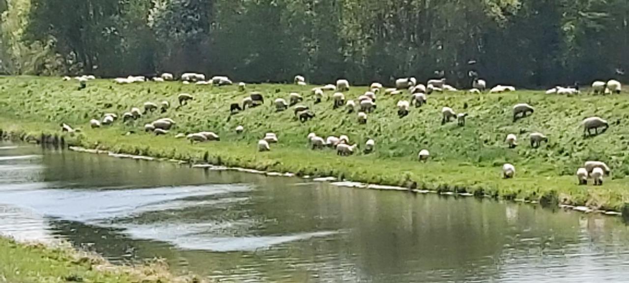 De Luet Ferienhof Jameln Exterior photo